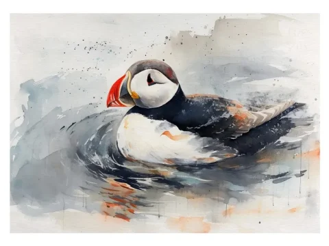 Puffin Bird Print on Matte Paper | Coastal Wildlife Wall Art