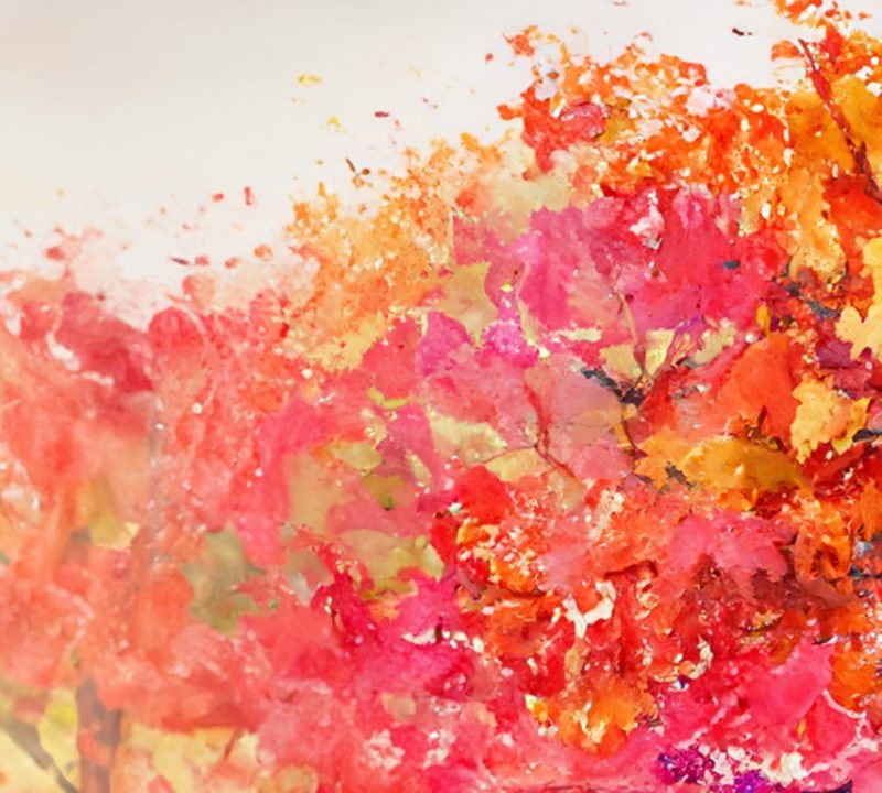 Autumn Rudd Vibrant Autumn Tree Painting: Capture the Beauty of Fall