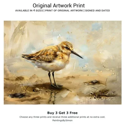 Sandpiper Bird Print on Matte Paper | Coastal Wildlife Wall Art