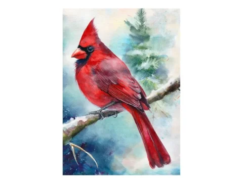 Red Cardinal Winter Print on Matte Paper | Garden Bird Wall Art
