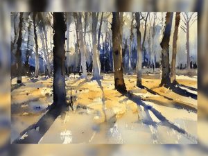 Winter forest with golden sunlight casting long shadows on snow.