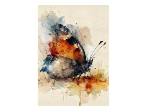 Vibrant orange and charcoal butterfly watercolor painting print by Simon Rudd Studio.