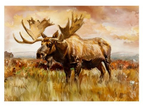 A majestic moose standing in a sun-drenched autumn field, an expressive watercolor and oil painting print by Simon Rudd Studio.
